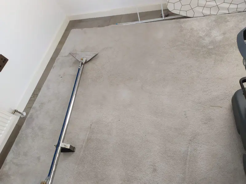 Hot water extraction wand on a beige carpet, with the cleaned and uncleaned areas visible