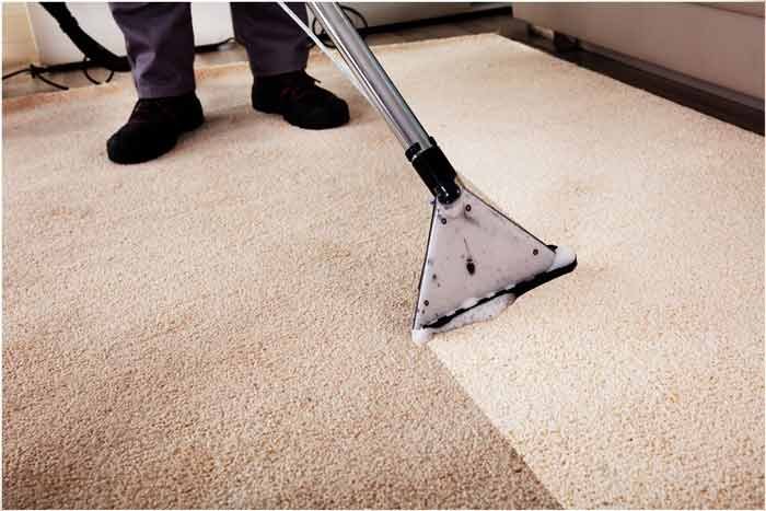 sw clean rug cleaning professional carpet cleaning