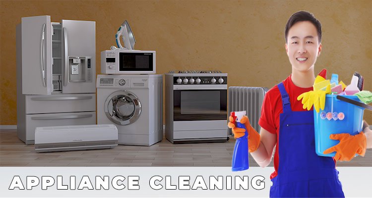 appliance cleaning service