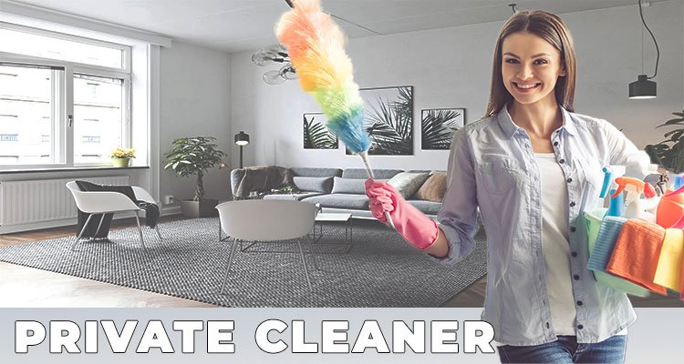 sw clean private cleaner